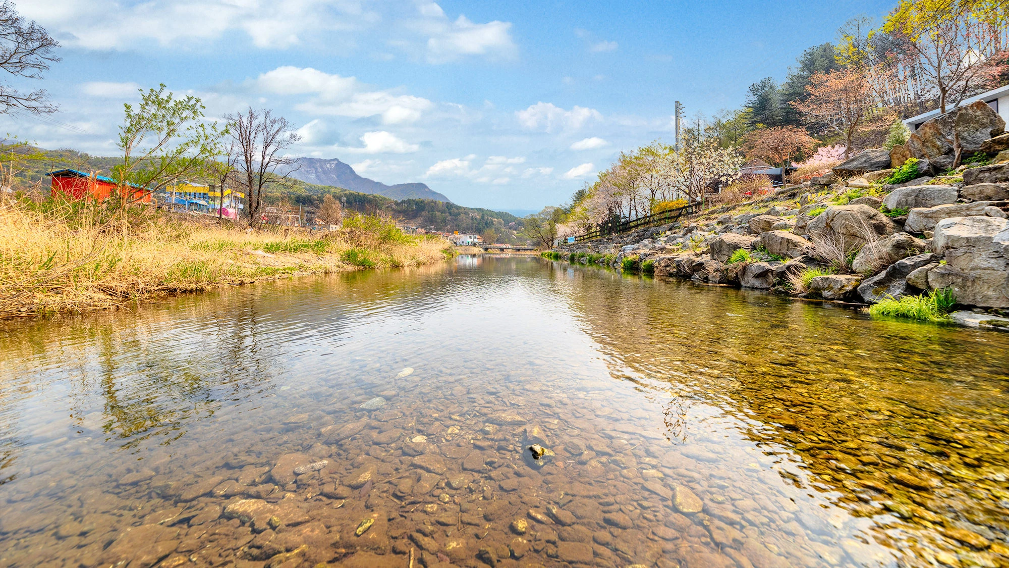 스페셜 사진5